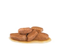 [凡購買處方用品, 訂單滿$500或以上可享免費送貨]　　Royal Canin - Early Renal 早期腎病處方 袋裝狗濕糧 100g x12包原箱
