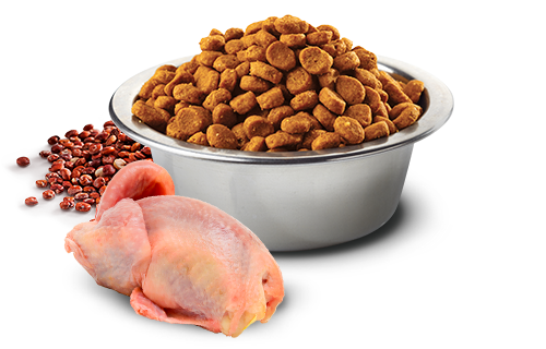 Natural & Delicious 藜麥功能天然貓糧 – 鵪鶉 皮膚護理 1.5kg