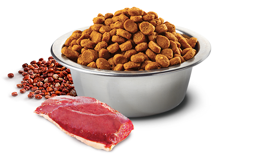 Natural & Delicious 藜麥功能天然貓糧 – 鴨肉 泌尿護理 1.5kg