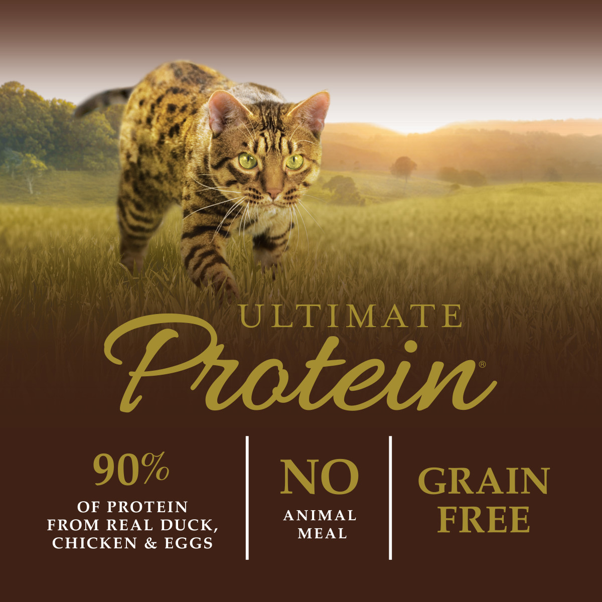 Nature's Variety Instinct 本能 無穀物 頂級蛋白質貓糧 - 鴨肉配方 4磅