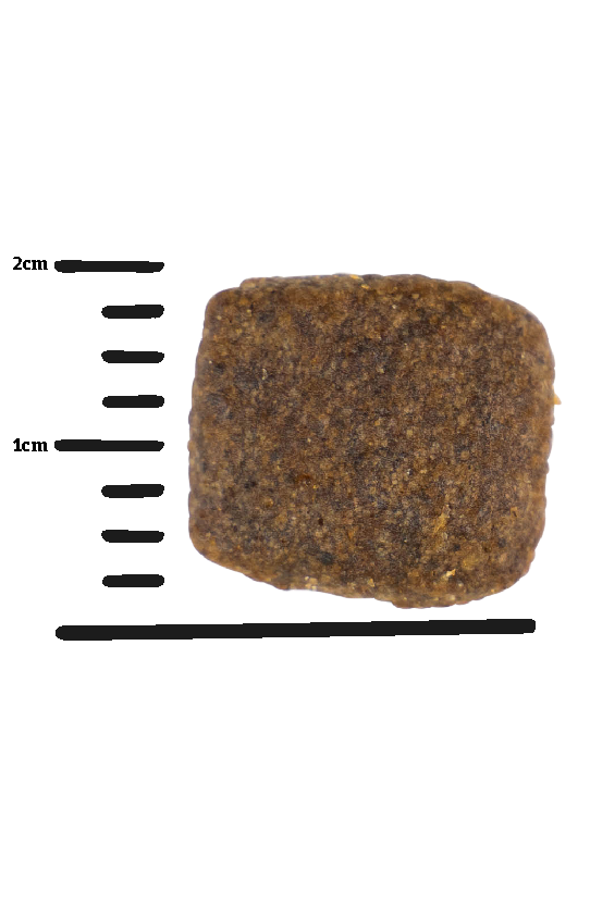 Green Petfood - InsectDog Hypoallergen 無穀物 蟲蟲蛋白防皮膚過敏 成犬糧 10kg (藍)
