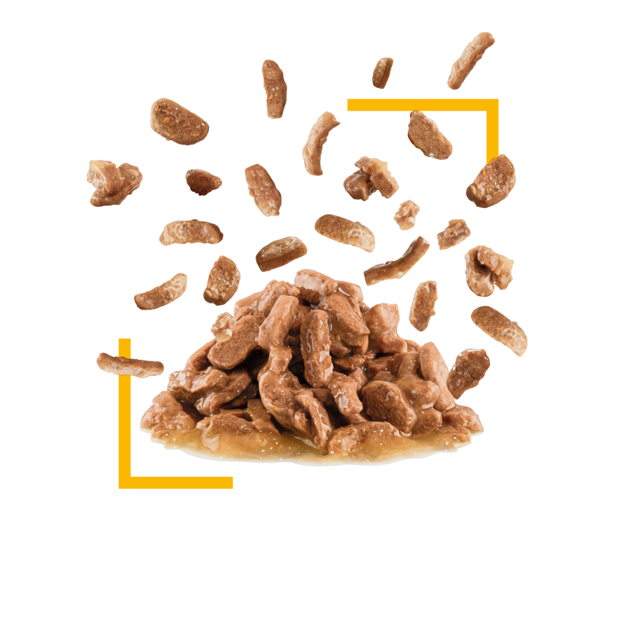 Royal Canin 法國皇家 Sensory 貓感系列 - TASTE 鮮味配方 (Gravy) 85g x12包