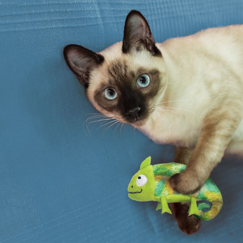 【購買正價貨品滿$300~可以以優惠價$48換購】KONG Refillables Crab Catnip Cat Toy 蟹貓草套裝 (紅色) (NCR4)