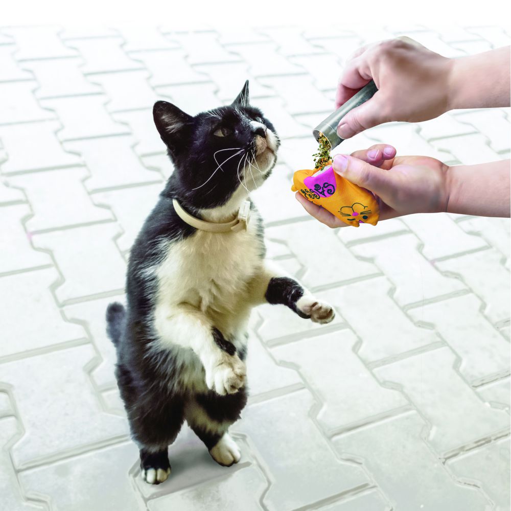 ＜購買正價貨品滿$300~可以優惠價$35換購＞ KONG Refillables Catnip Tubes 3-Pack 貓草補充管套裝 (CNRT3)