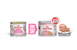 Royal Canin 法國皇家 Mother & Babycat 離乳貓及母貓營養 主食罐頭 (BB02)195g X12罐原盤優惠