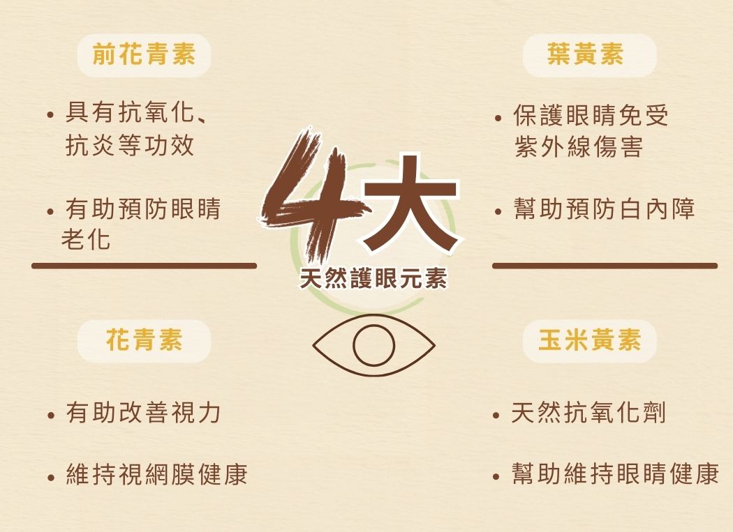 【購買正價貨品滿 $300/$800 可換購】　Cosset 愛寵健 - 藍莓葉黃素複合護眼配方 30粒  到期日: 23/4/2023