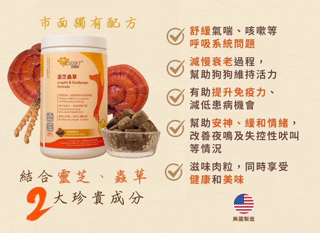 【購買正價貨品滿$300~可以以優惠價$88換購】Cosset 愛寵健 靈芝蟲草犬用肉粒配方 70粒  到期日: 10/2023