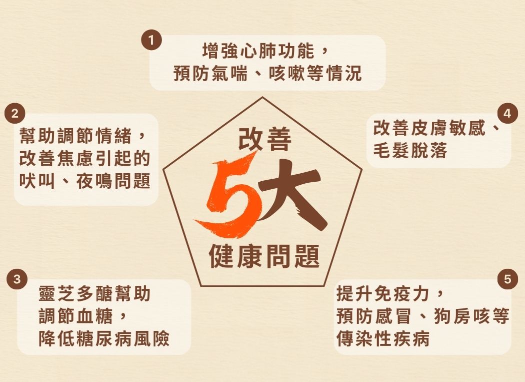 【購買正價貨品滿$300~可以以優惠價$88換購】Cosset 愛寵健 靈芝蟲草犬用肉粒配方 70粒  到期日: 10/2023