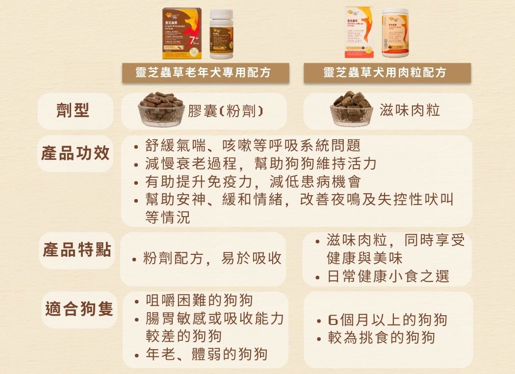 【購買正價貨品滿$300~可以以優惠價$88換購】Cosset 愛寵健 靈芝蟲草犬用肉粒配方 70粒  到期日: 10/2023