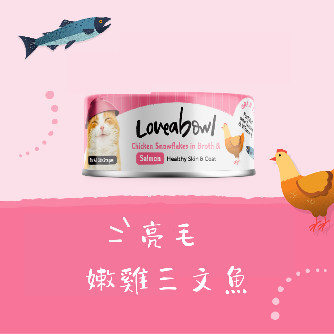 Loveabowl 亮毛嫩雞三文魚 貓罐 70g (L612)