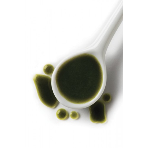 (營養補充品) Raw Support - Balance 多種維他命及礦物質精華液 250ml (貓犬) (5-27921)