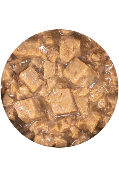 Salican 挪威森林 海洋魚 (肉汁) Ocean Fish in Gravy 貓罐頭  85g x 48罐 兩箱優惠