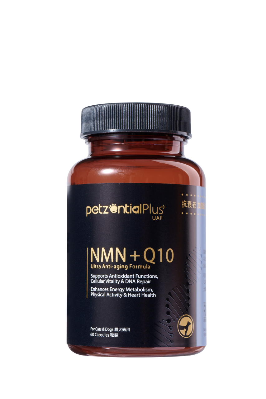 (营养保充品) PetzentialPlus UAF NMN+Q10 抗衰老加強配方 (貓狗适用) 60粒