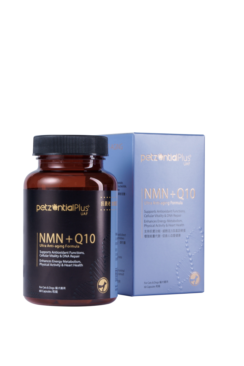 (營養保充品) PetzentialPlus UAF NMN+Q10 抗衰老加強配方 (貓狗適用) 60粒