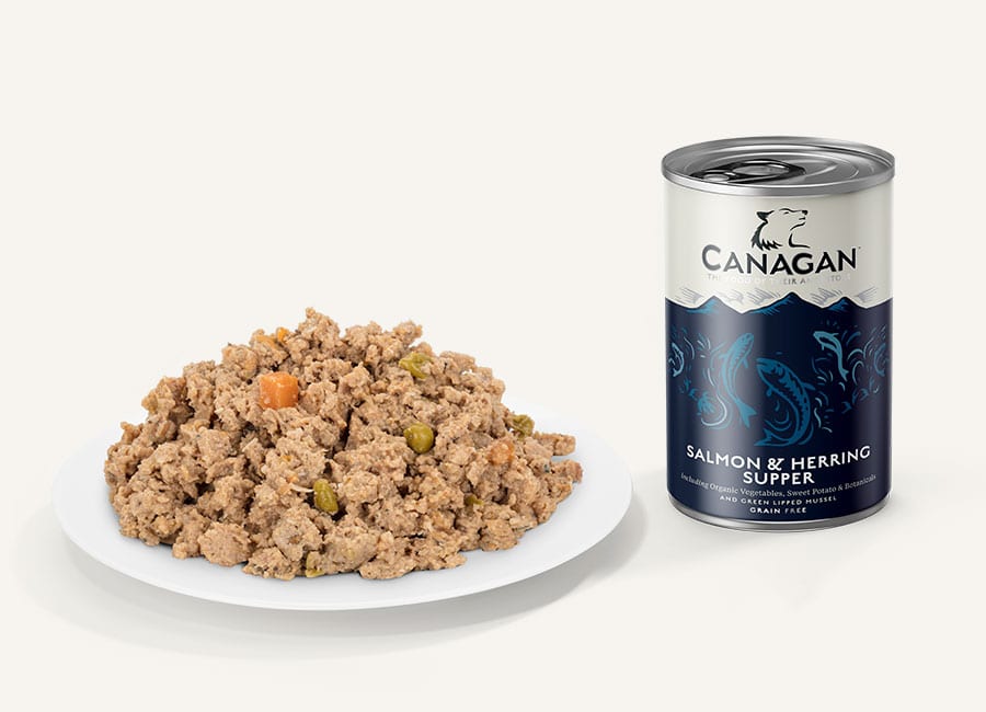 Canagan 全天然無穀物狗罐頭 -  三文魚及鯡魚配方 400g x 6罐 原箱優惠