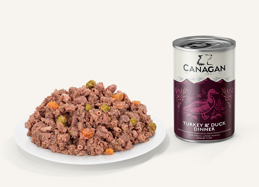 Canagan 全天然無穀物狗罐頭 - 火雞伴鴨肉配方 400g x 6罐 原箱優惠
