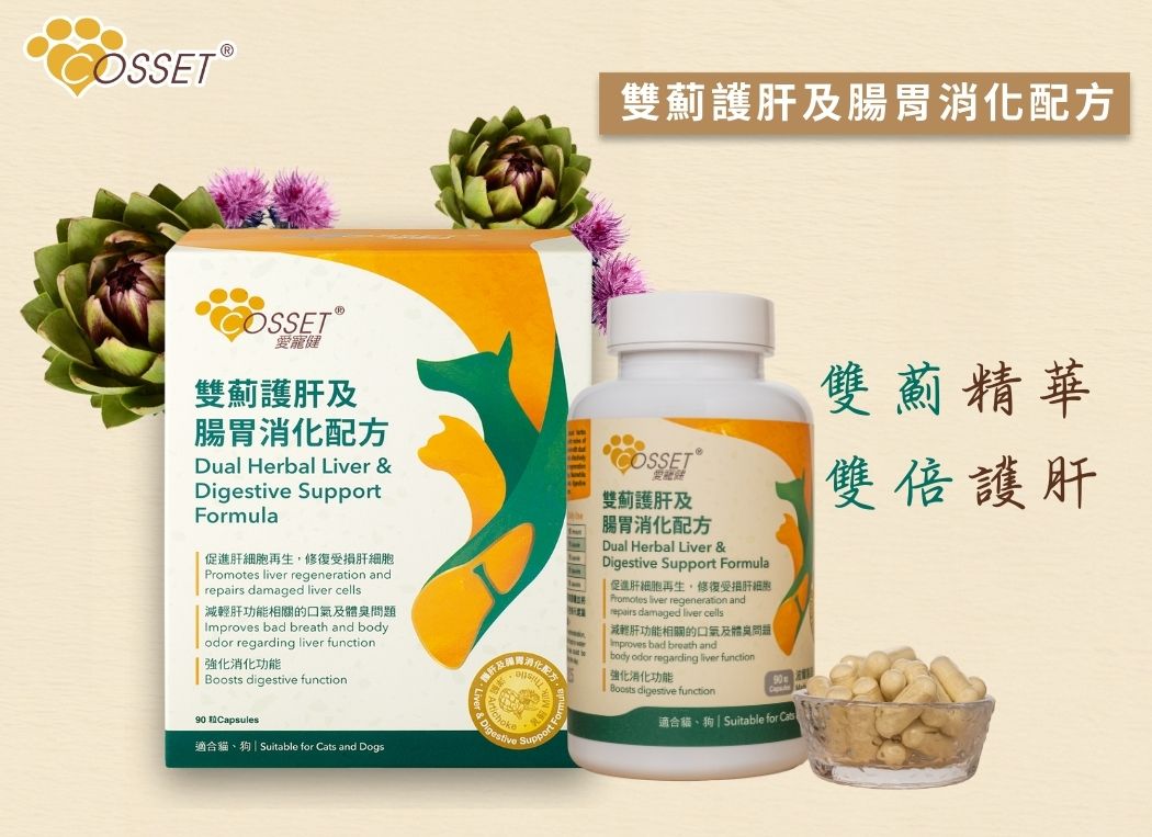 Cosset 愛寵健 雙薊護肝及腸胃消化配方 (90粒)