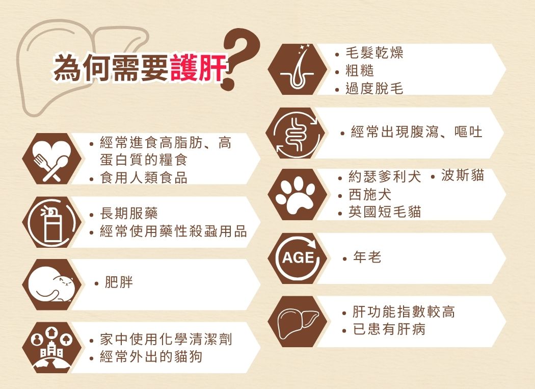 Cosset 愛寵健 雙薊護肝及腸胃消化配方 (90粒)