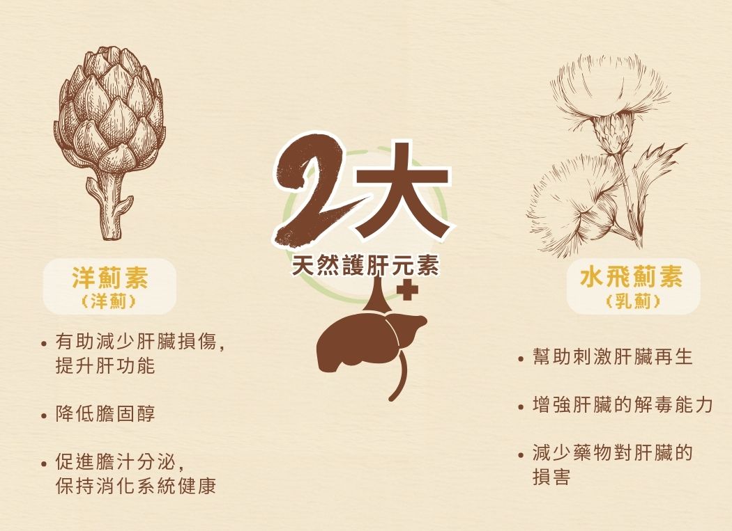 Cosset 愛寵健 雙薊護肝及腸胃消化配方 (90粒)