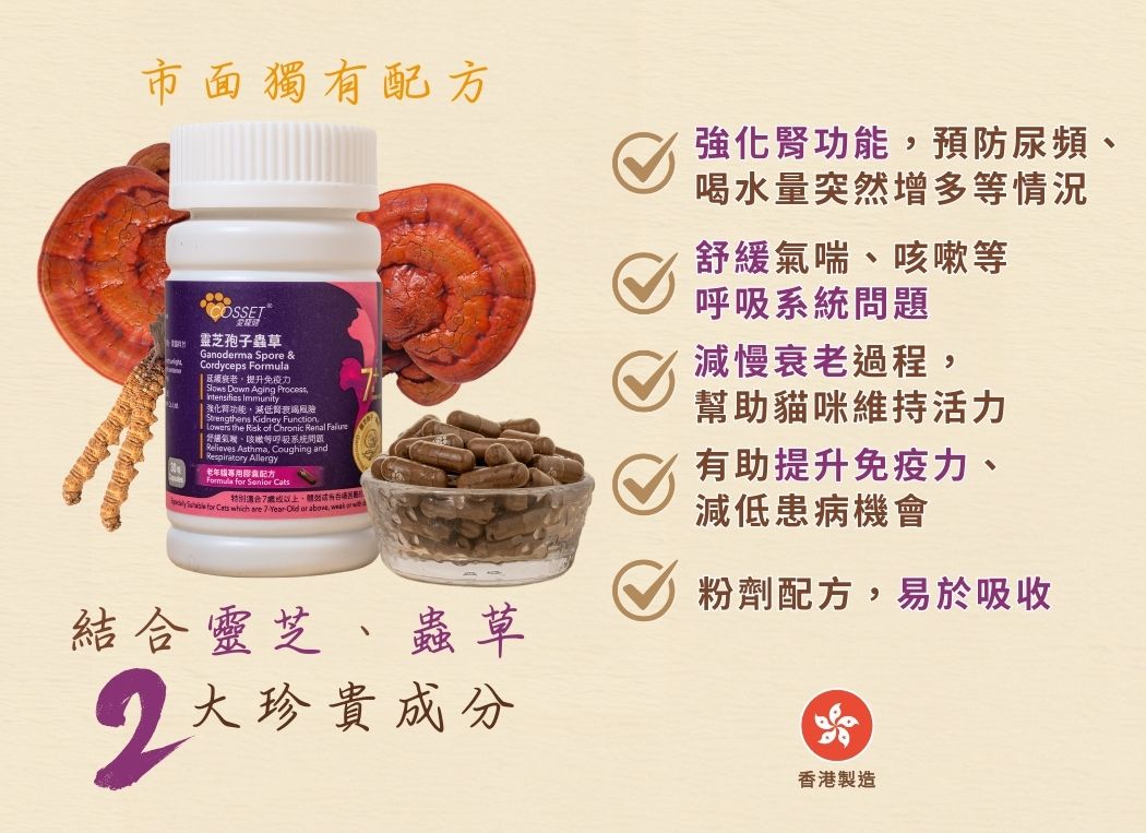 ＜購買正價貨品滿$300~可以優惠價$250換購＞ Cosset 愛寵健 靈芝孢子蟲草 老年貓專用配方 30粒裝 到期日: 8/2025