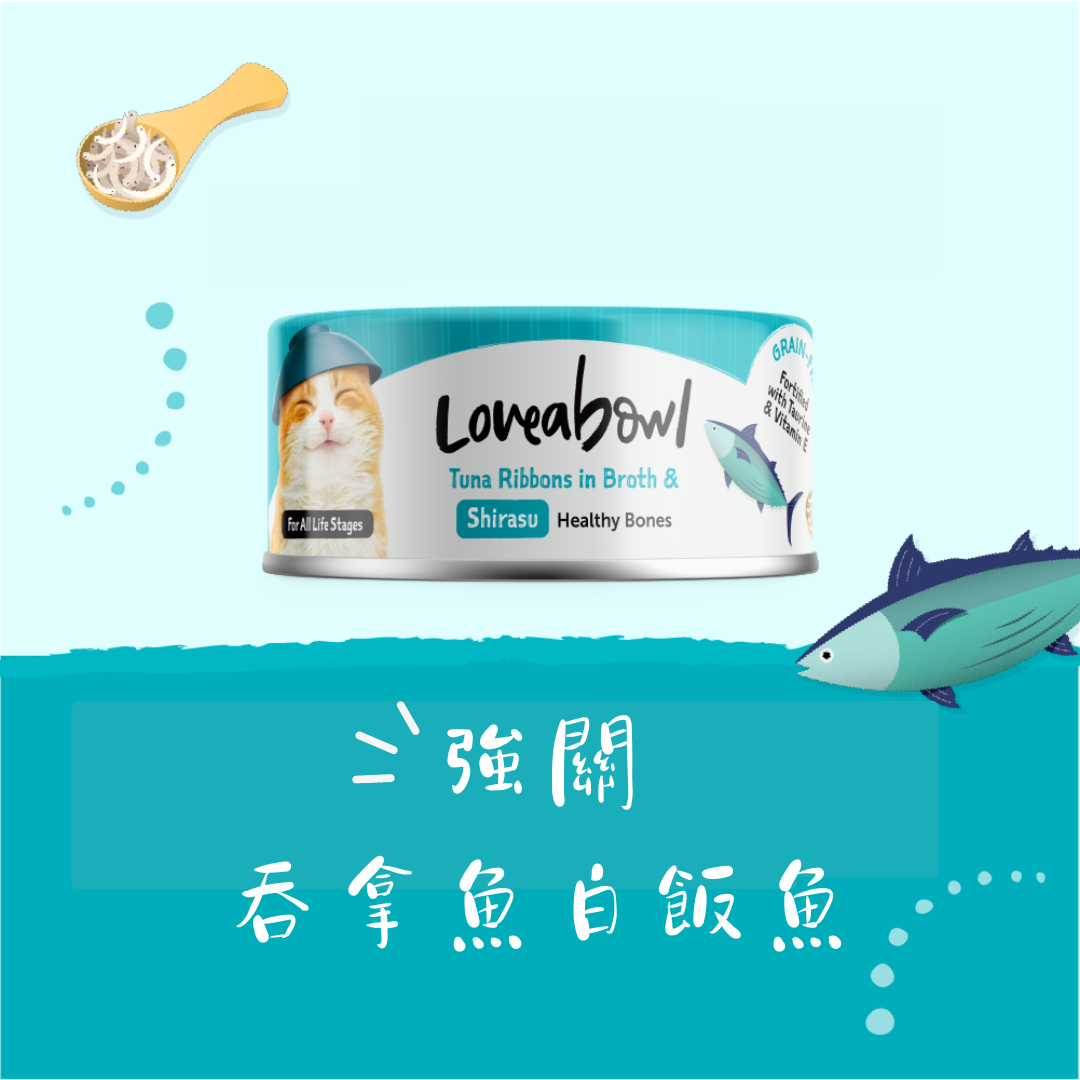 Loveabowl 壯骨 吞拿魚 + 白飯魚 貓罐 70g (L626)