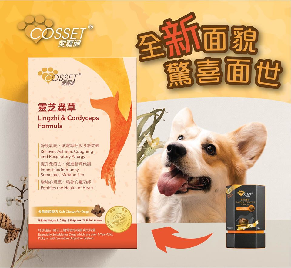Cosset 愛寵健 靈芝蟲草犬用肉粒配方 70粒