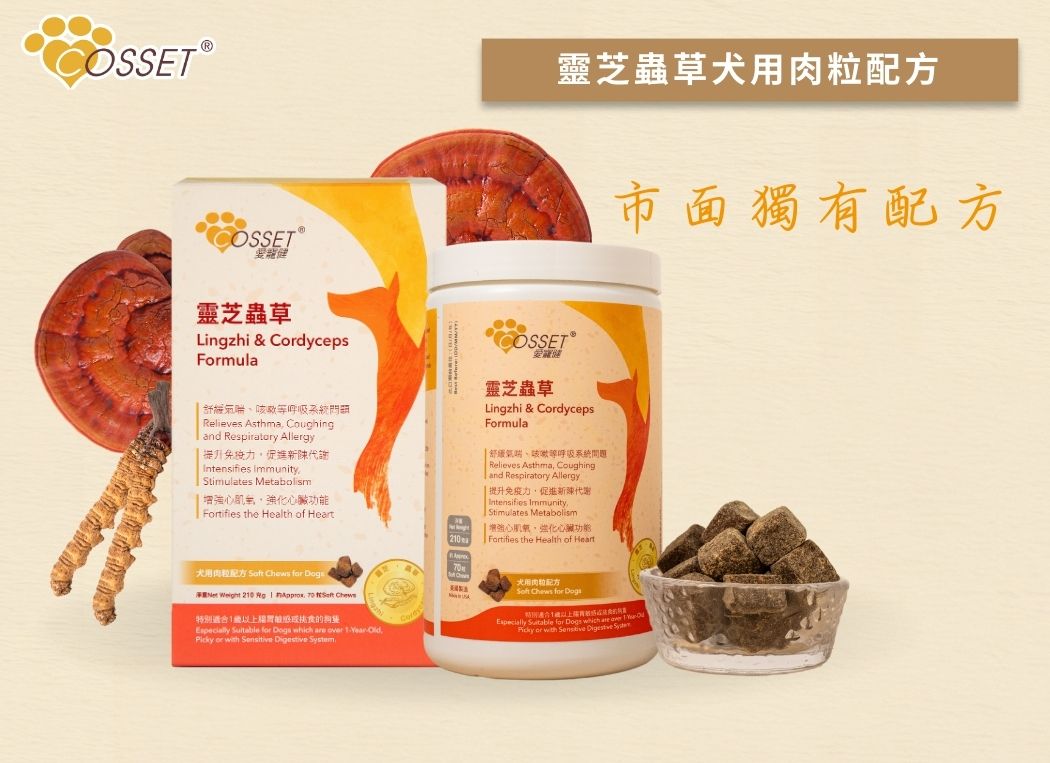 Cosset 愛寵健 靈芝蟲草犬用肉粒配方 70粒