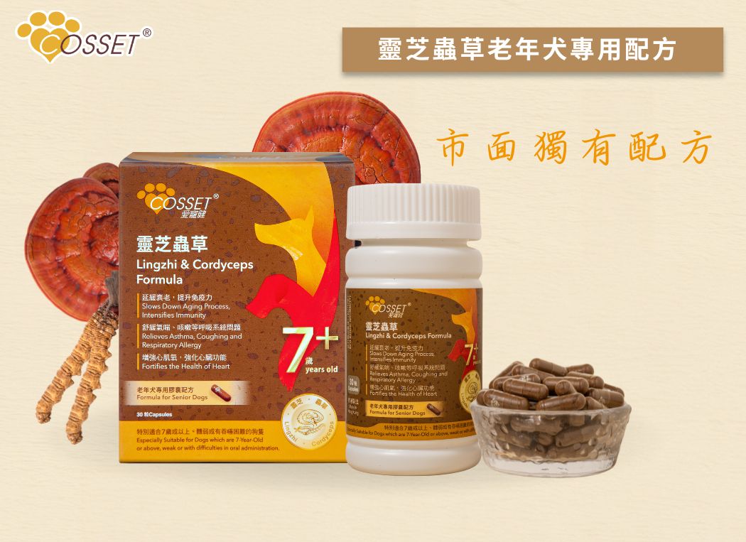 Cosset 愛寵健 靈芝蟲草老年犬專用配方80粒