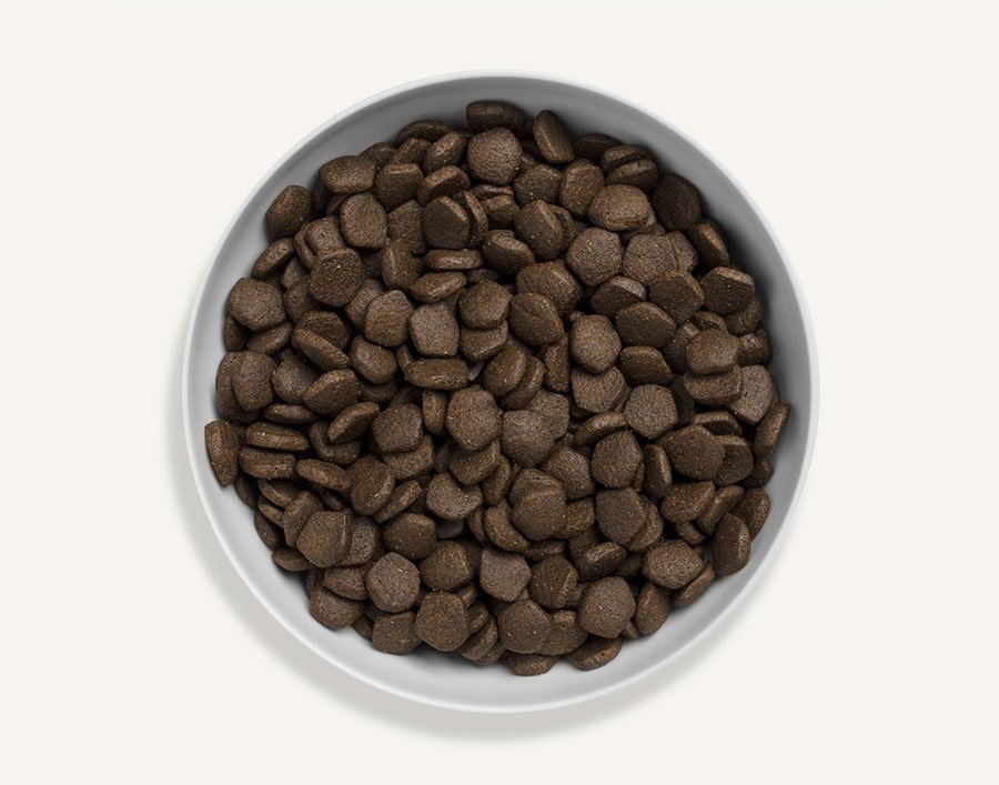 Canagan 無穀物 蘇格蘭三文魚配方 犬糧 (全犬用) 12kg