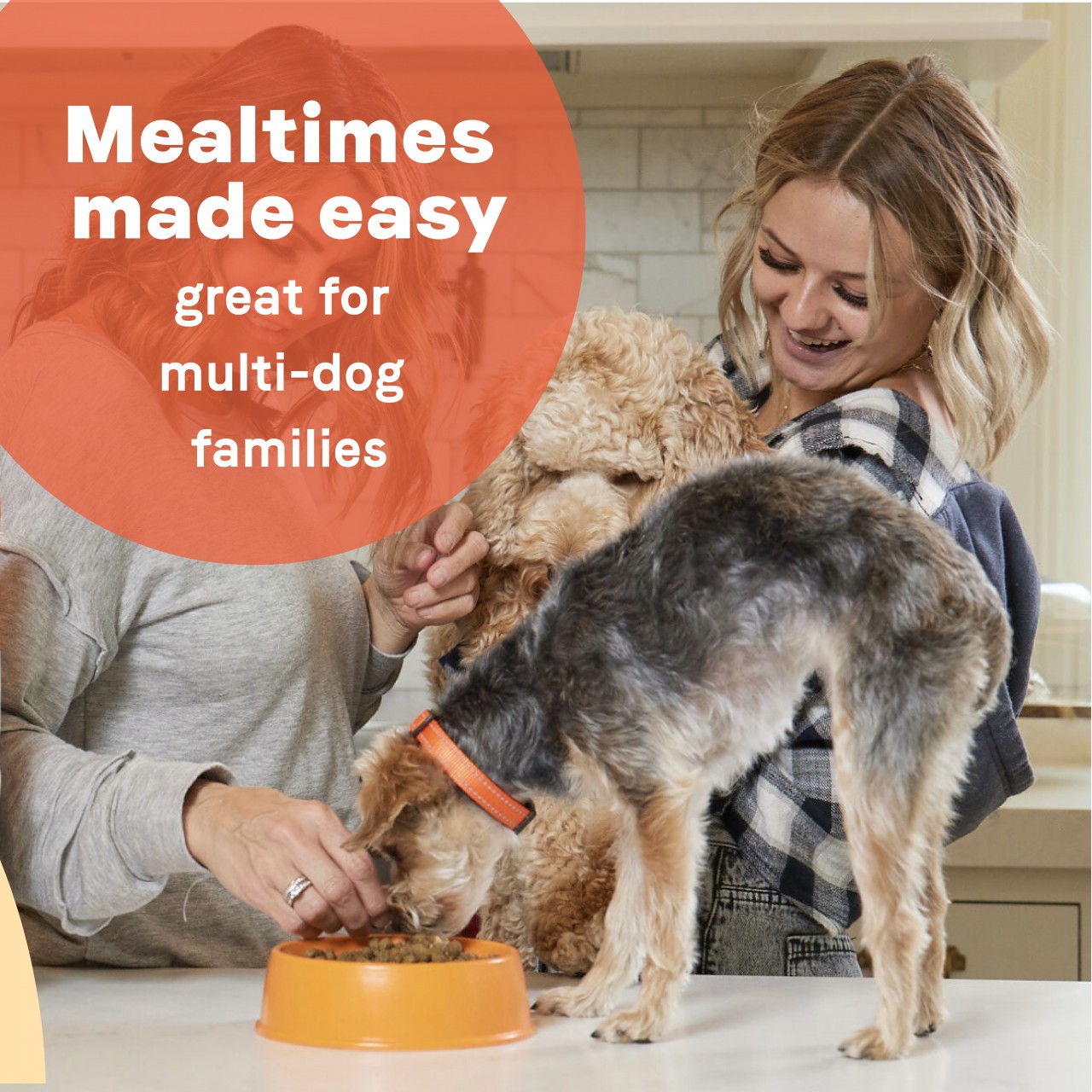 Canidae 全犬期全面護理配方 狗乾糧 原味配方 (Multi-Protein Formula) 40磅