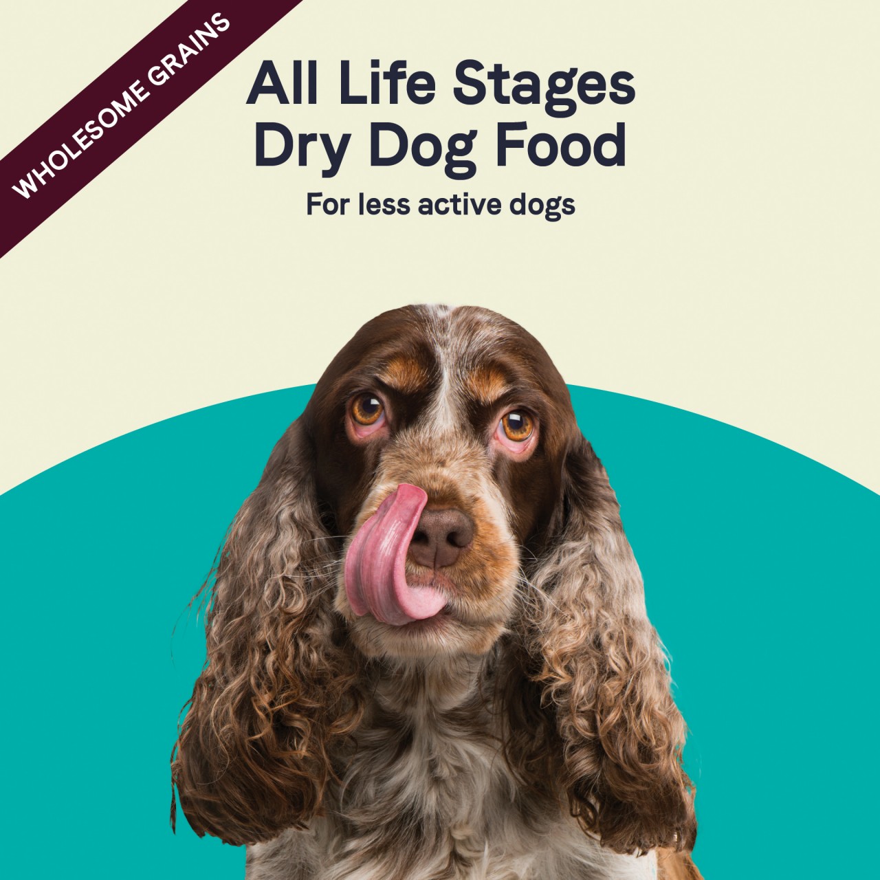 Canidae 年長/低熱量加倍護理配方 狗乾糧 (Less Active Formula) 5磅