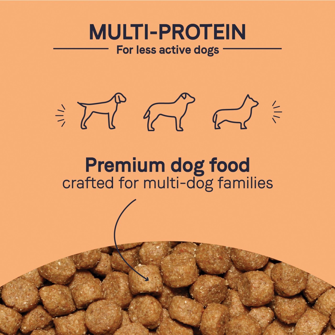 Canidae 年長/低熱量加倍護理配方 狗乾糧 (Less Active Formula) 5磅