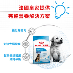 Royal Canin 法國皇家 Maxi Puppy 大型幼犬營養配方 乾糧 15kg