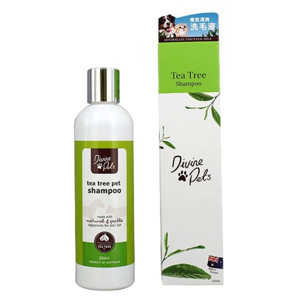 Divine Pets 極致清爽洗毛液 Tea Tree Shampoo 250ml