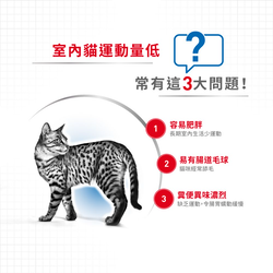 Royal Canin 法國皇家 Indoor 室內成貓營養配方 乾糧  (IN27) 4kg