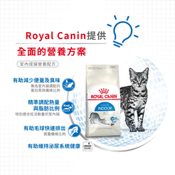 Royal Canin 法國皇家 Indoor 室內成貓營養配方 乾糧  (IN27) 10kg