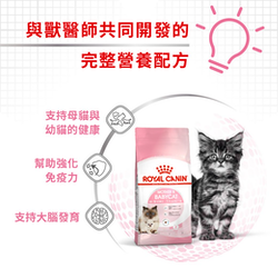 Royal Canin 法國皇家 Mother & Baby 離乳貓及母貓營養配方 乾糧 (BA34) 2kg