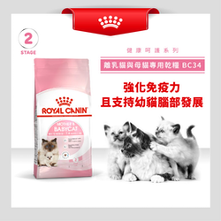 Royal Canin 法國皇家 Mother & Baby 離乳貓及母貓營養配方 乾糧 (BA34) 4kg