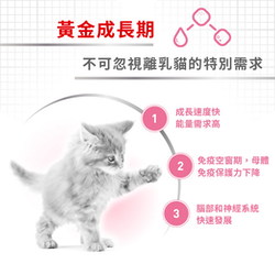Royal Canin 法國皇家 Mother & Baby 離乳貓及母貓營養配方 乾糧 (BA34) 4kg