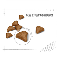Royal Canin 法國皇家 Hairball 成貓除毛球加護配方 乾糧 4kg