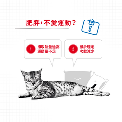 Royal Canin 法國皇家 Light Weight 成貓體重控制加護配方 乾糧 3kg