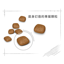 Royal Canin 法國皇家 Hair & Skin 成貓亮毛及皮膚加護配方 乾糧 4kg