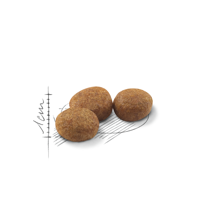 Royal Canin 法國皇家 絕育成貓營養配方 (Sterilised) 乾糧 2kg