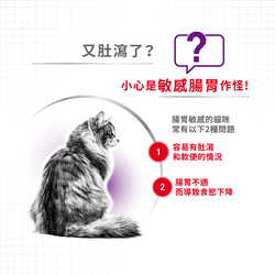 Royal Canin 法國皇家 成貓敏感腸胃營養配方 (Sensible) 乾糧 10kg
