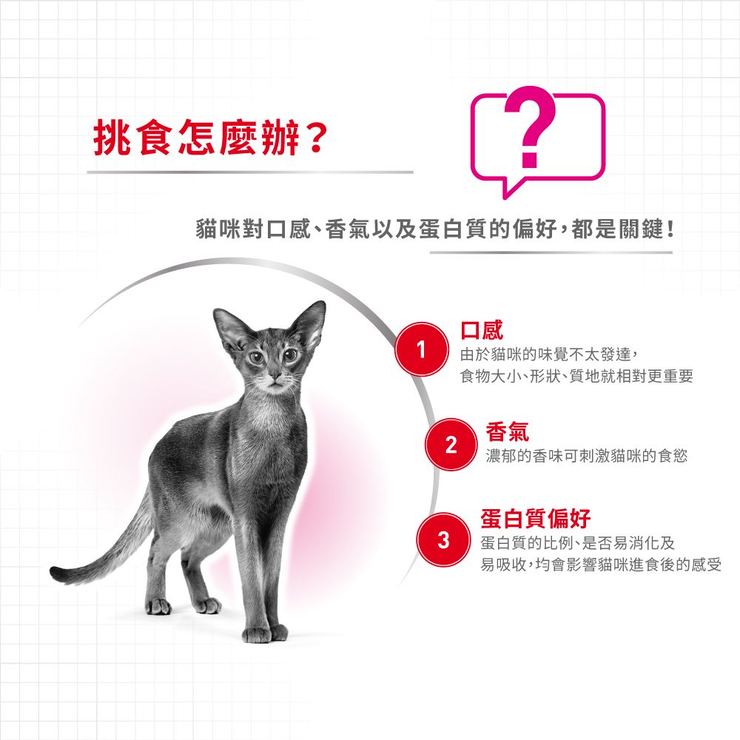 Royal Canin 法國皇家 成貓口感豐富挑嘴配方 (Savour Exigent) 乾糧 2kg