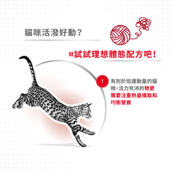 Royal Canin 法國皇家 Fit32 成貓全效健康營養配方 乾糧 4kg