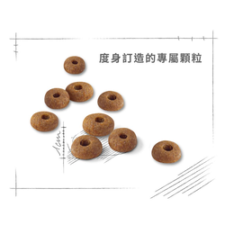 Royal Canin 法國皇家 Fit32 成貓全效健康營養配方 乾糧 4kg