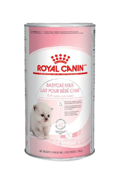 Royal Canin 法國皇家 初生貓營養奶粉 300g