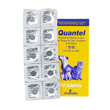 Quantel 康圖 貓狗寵物用杜蟲藥 1盒 (10粒)