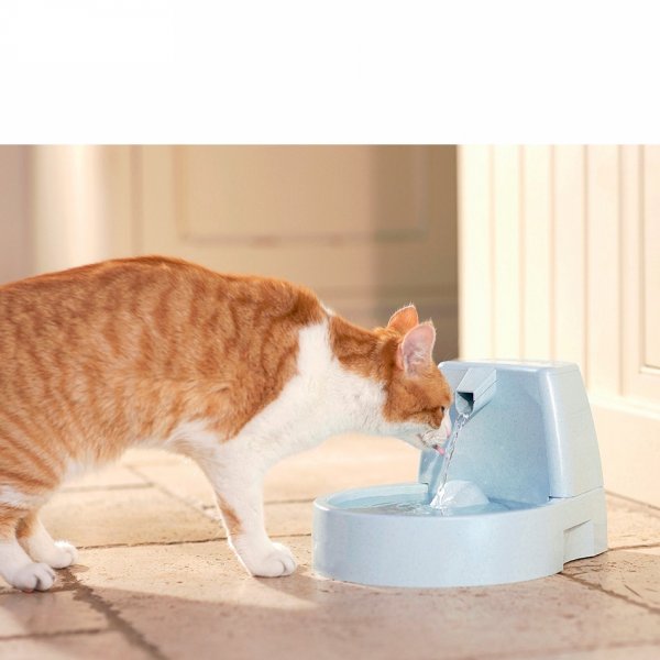 Drinkwell Original 經典型寵物噴泉 1.5L (DW02)